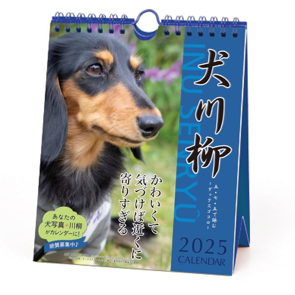 Amazon.co.jp: 2025年 ダックス川柳(週めくり) カレンダー No